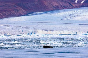 格陵兰岛冰层变薄可能意味着更多的海平面上升