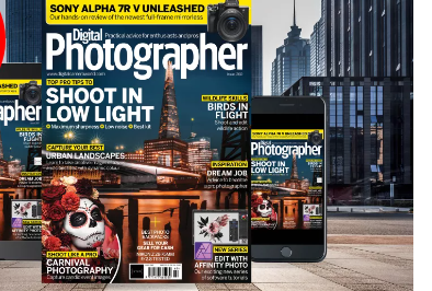 通过Digital Photographer Magazine获取免费的静物摄影指南