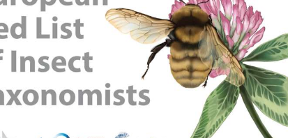 报告强调了整个欧洲昆虫分类学家的衰落