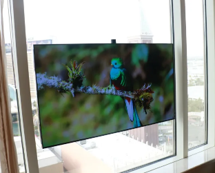 这款无线55英寸OLED电视可吸附在任何墙壁或窗户上