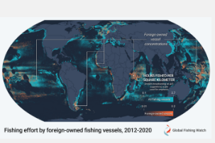 新研究揭示全球捕鱼船队不断变化的身份有助于加强渔业管理