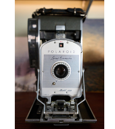尼康的新尼克尔Z 17-28mm F2.8镜头来拍摄一些样本照片
