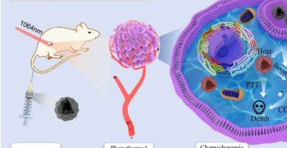 科学家提议使用碳涂层磁铁矿纳米团簇进行协同癌症治疗