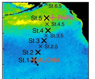新发现有助于更好地了解海洋吸收大气中二氧化碳的能力