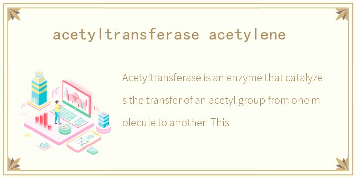 acetyltransferase acetylene