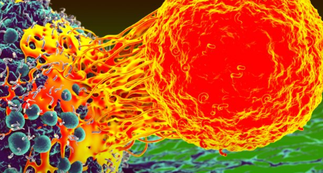 组织特异性T细胞洞察可能为精准治疗铺平道路