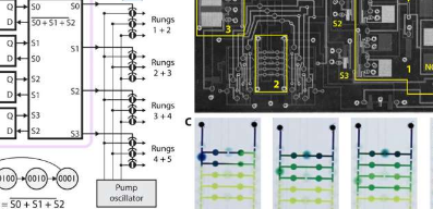 有限状态机作为气动回路使用微流体阀创建芯片实验室