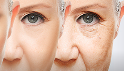 衰老与基因长度失衡有关并转向更短的基因