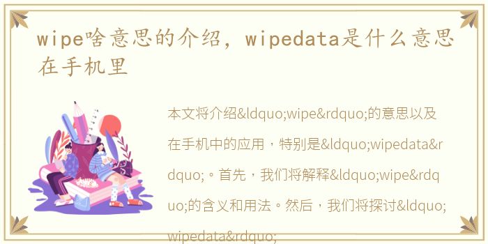wipe啥意思的介绍，wipedata是什么意思在手机里