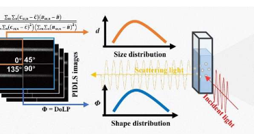 动态光散射偏振成像可测量纳米颗粒尺寸 形态和分布