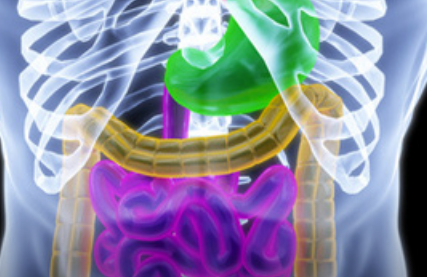 改变肠细胞功能可能会影响代谢疾病目标