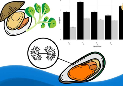 坎特伯雷鸟蛤和豆瓣菜中发现抗生素耐药细菌