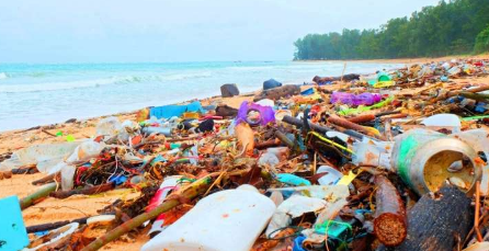 数据显示集装箱存放计划减少了海滩上的垃圾