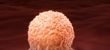 二聚体抗体靶向肿瘤细胞深处的癌症蛋白