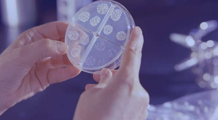 细菌实际上是如何对抗生素产生耐药性的