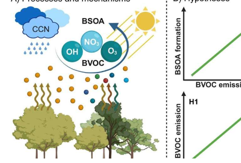 森林的气味调查生物多样性如何影响大气