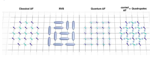 磁性液晶的发现首次直接观察自旋向列相中的自旋四极矩