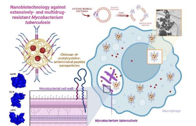 具有抗菌作用的纳米颗粒可以缩短结核病治疗的时间