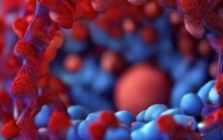模拟显示艾滋病毒如何潜入细胞核