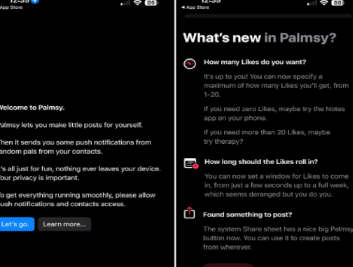 Palmsy可能是您的社交媒体平台