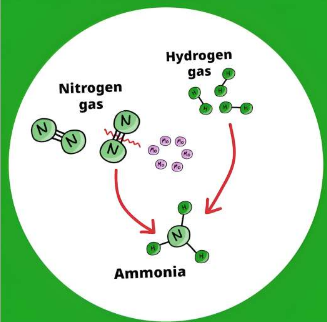 新型催化剂可实现能源友好型氨生产用于化肥和替代燃料