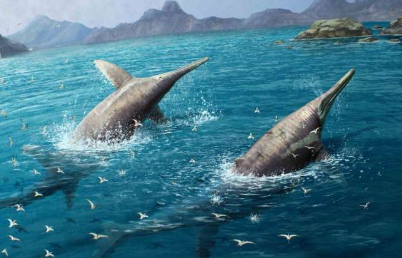 古生物学家发现了可能是已知最大的海洋爬行动物
