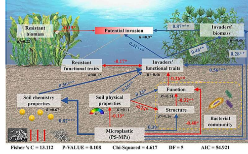 聚苯乙烯微塑料可增强外来沉水植物的入侵
