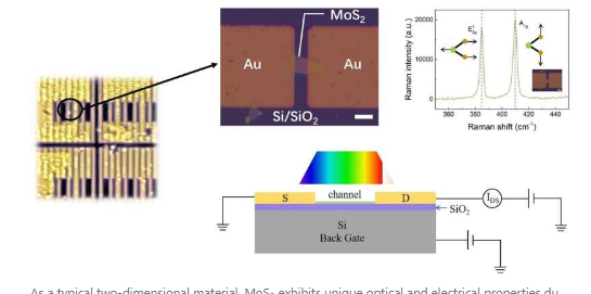 科学家揭示了具有宽光谱范围和多波段响应的多层MoS2光电探测器的工作机制